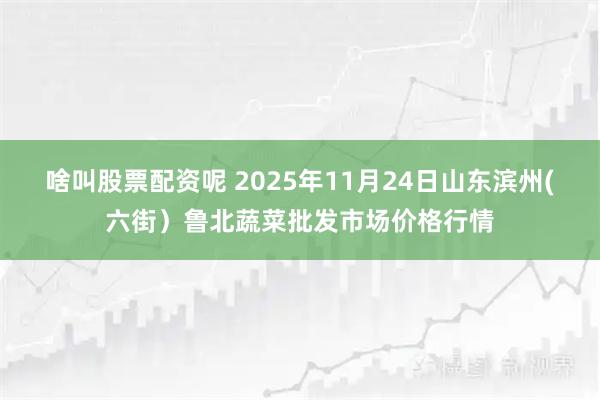 啥叫股票配资呢 2025年11月24日山东滨州(六街）鲁北蔬菜批发市场价格行情